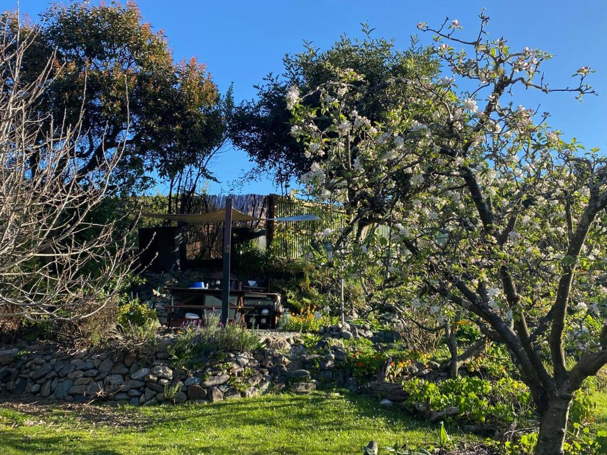 Omarama Oasis - Permaculture Glamping Hotel Pohara Eksteriør billede