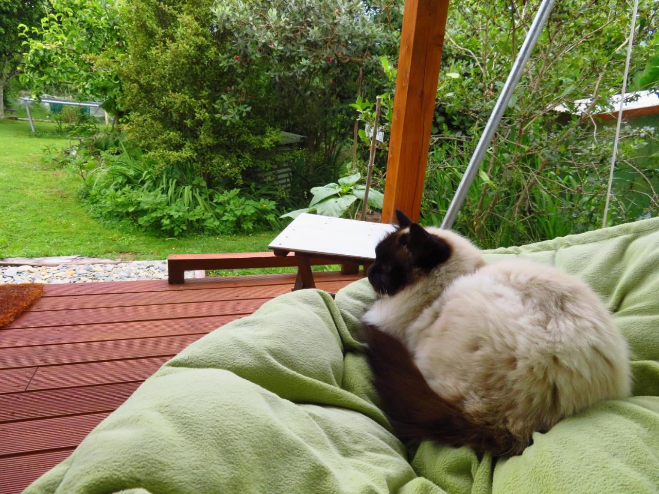 Omarama Oasis - Permaculture Glamping Hotel Pohara Eksteriør billede